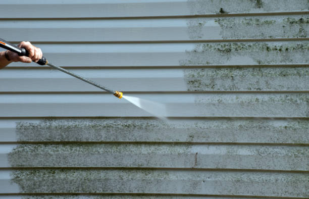 Best Dumpster Area Cleaning  in Whitehall, OH